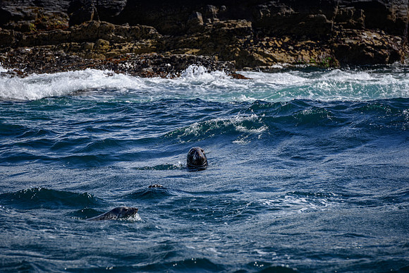 Ireland_20190611_4362
