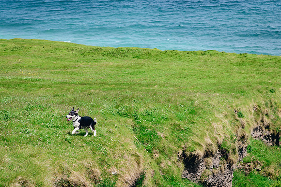 Ireland_20190611_4171