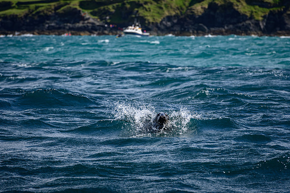 Ireland_20190611_4332