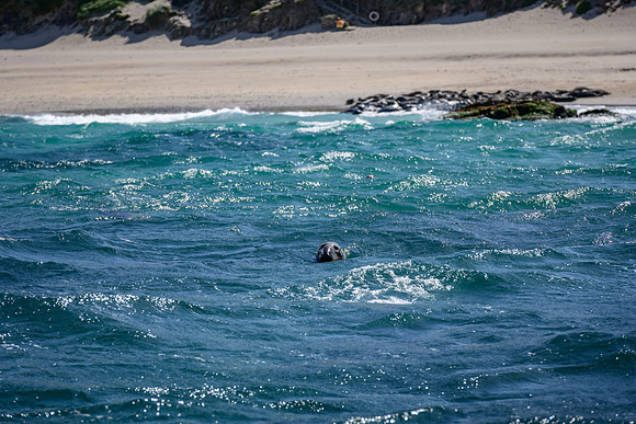 Ireland_20190611_4293