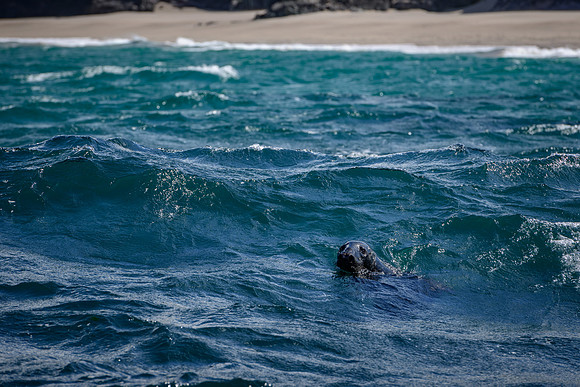 Ireland_20190611_4305