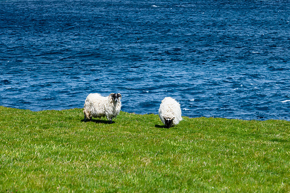 Ireland_20190611_4201