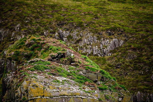 Ireland_20190611_4082
