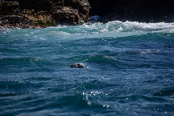 Ireland_20190611_4351