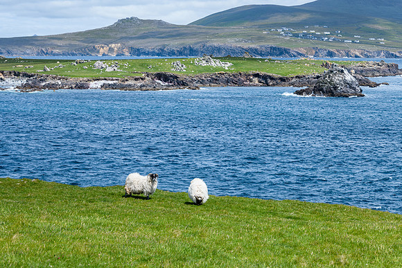 Ireland_20190611_4203