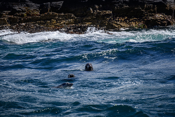 Ireland_20190611_4363