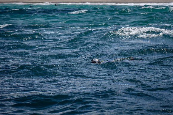 Ireland_20190611_4315