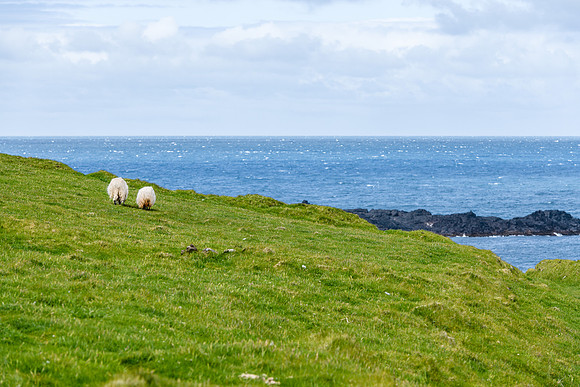 Ireland_20190611_4186
