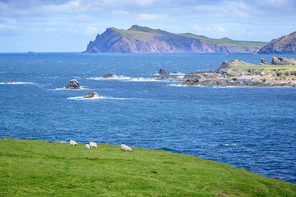 Ireland_20190611_4192