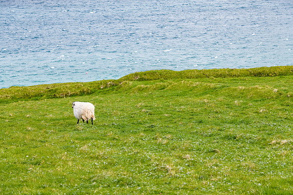 Ireland_20190611_4188