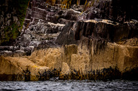 Ireland_20190611_4079