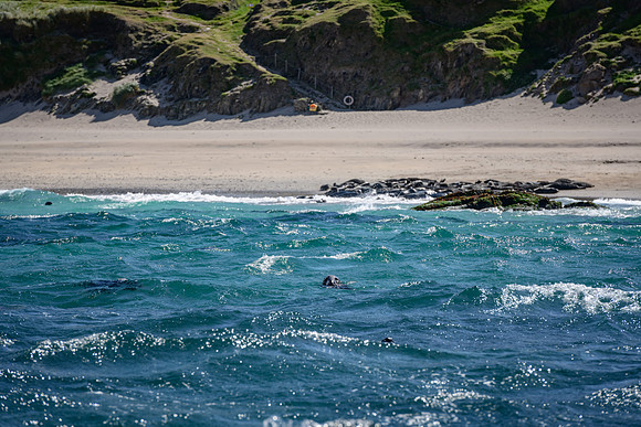 Ireland_20190611_4290