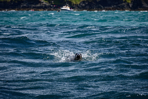 Ireland_20190611_4333