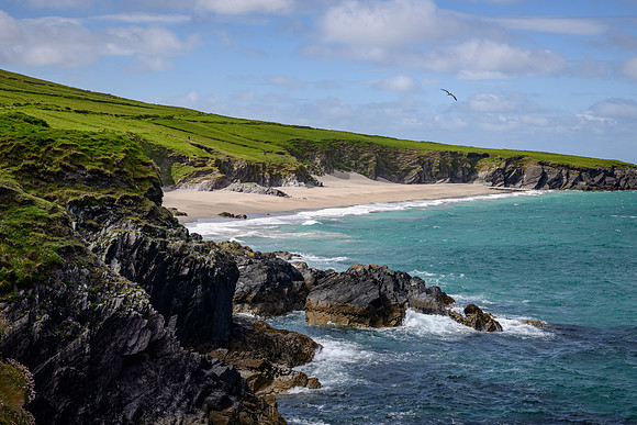 Ireland_20190611_4278