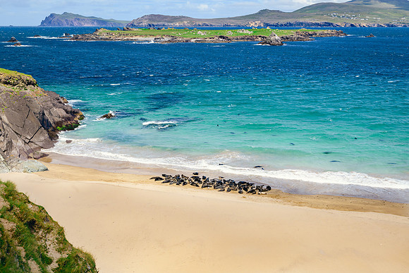 Ireland_20190611_4233