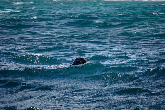 Ireland_20190611_4336